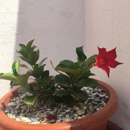 דירה In Campagna Al Mare Quiliano