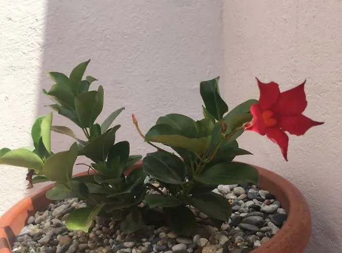 Appartamento In Campagna Al Mare Quiliano